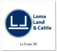 La Cygne, KS