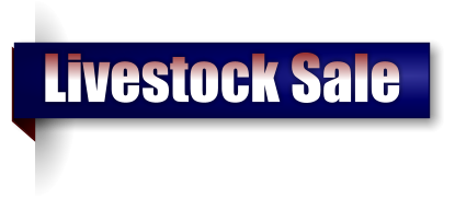 Livestock Sale